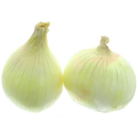 OIGNON DOUX VRAC 10KG